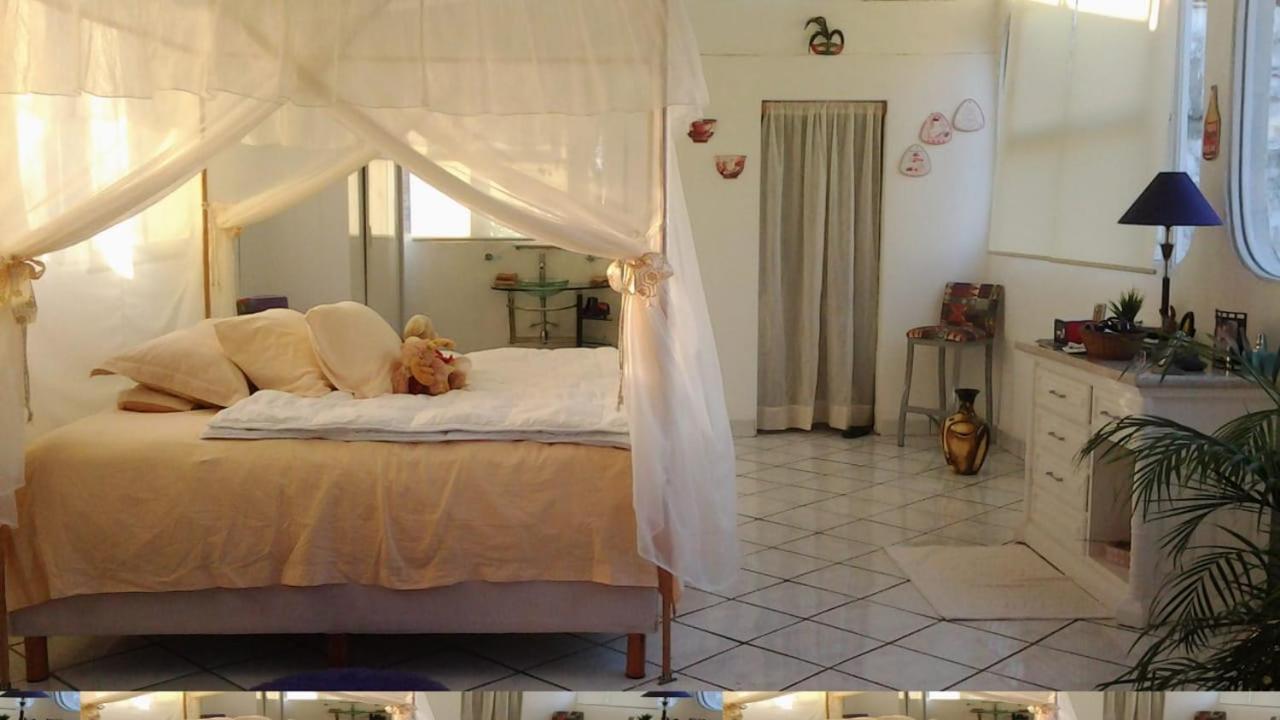 Boutique Basic Hotel Пуерто-Вальярта Екстер'єр фото